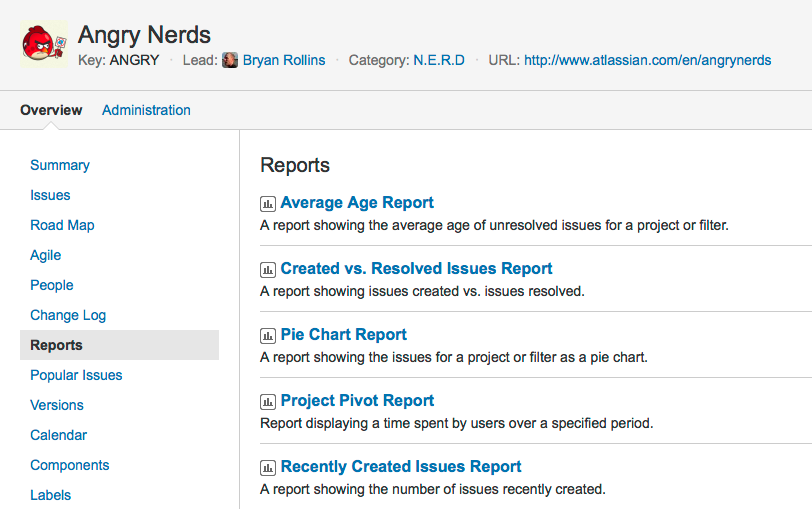 Project Pivot Report Jira. Пример баг репорта в Jira. Bug Report in Jira. Generate report